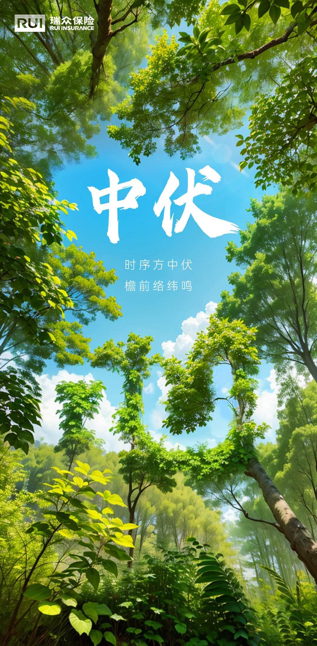 7·25中伏|时序方中伏,檐前络纬鸣 - 知乎