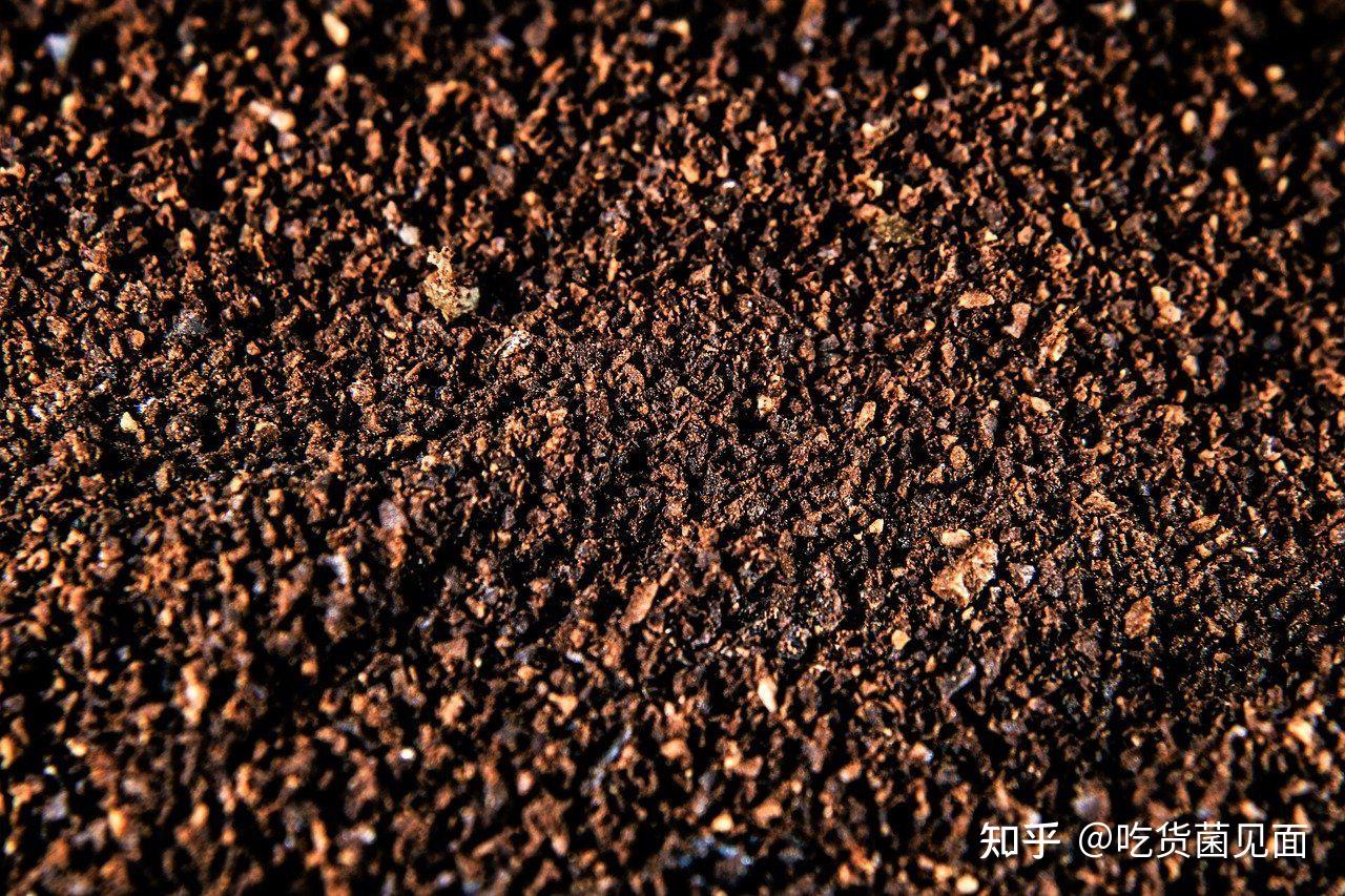 用葡萄酒酿造后的废弃皮渣再酿酒单瓶能过万元