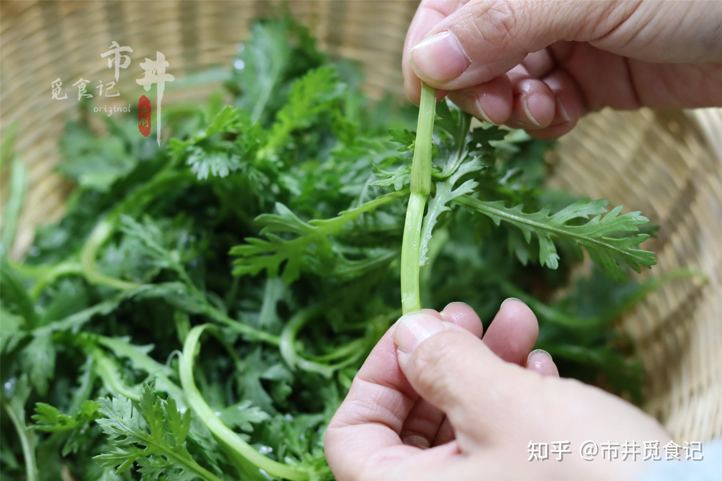 【蒸茼蒿菜】