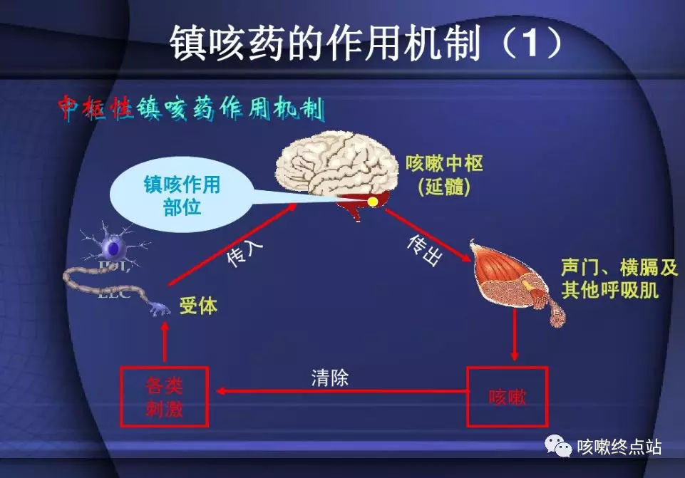 咳嗽西药止咳药