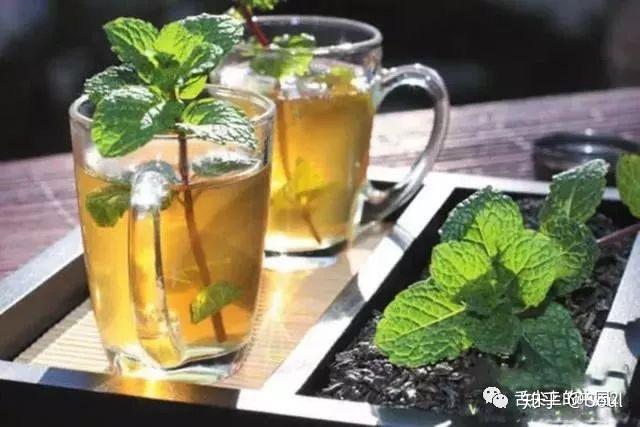 夏天在家自己做凉茶！ - 知乎