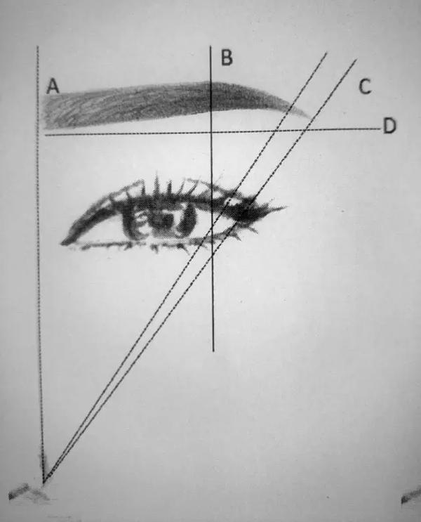按照畫眉的標準, 在紙上一筆一筆練, 牢記畫眉口訣: 前淡,上需,鮮實