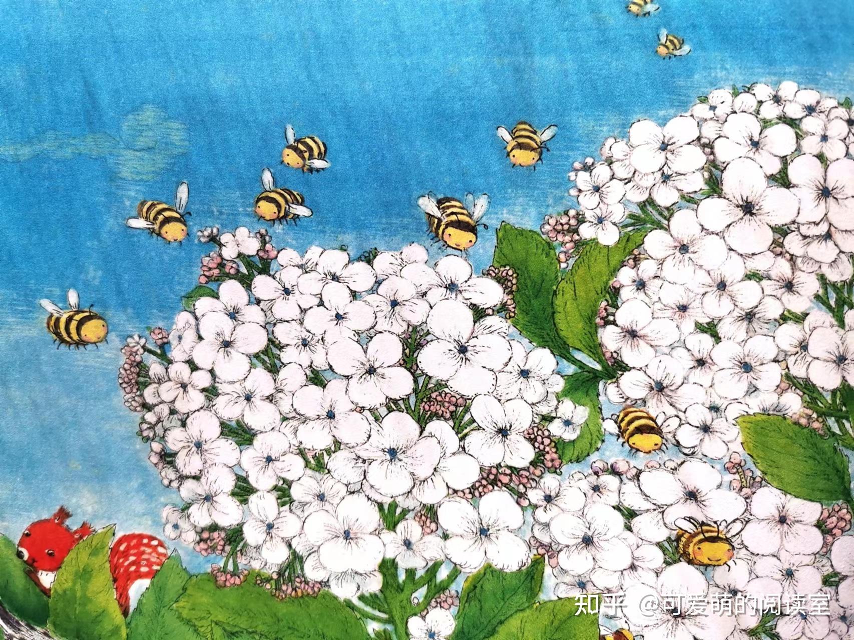 儿童绘本推荐:通过花的世界,了解二十四节气,带你走进大自然