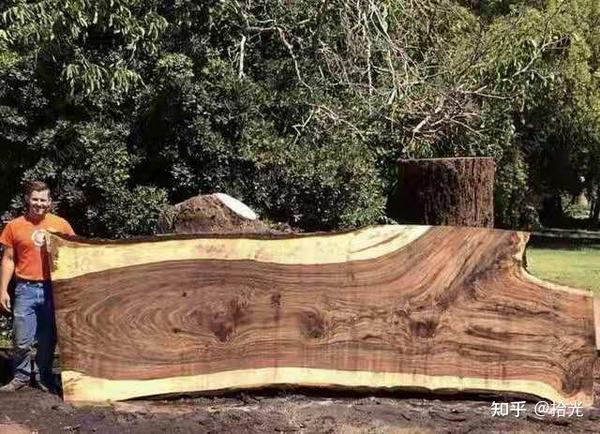 北美黑胡桃木(American black Walnut)—阔叶木之王 - 知乎