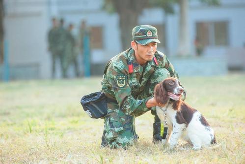 奇兵神犬国内综艺反人设人物设定的最大成功