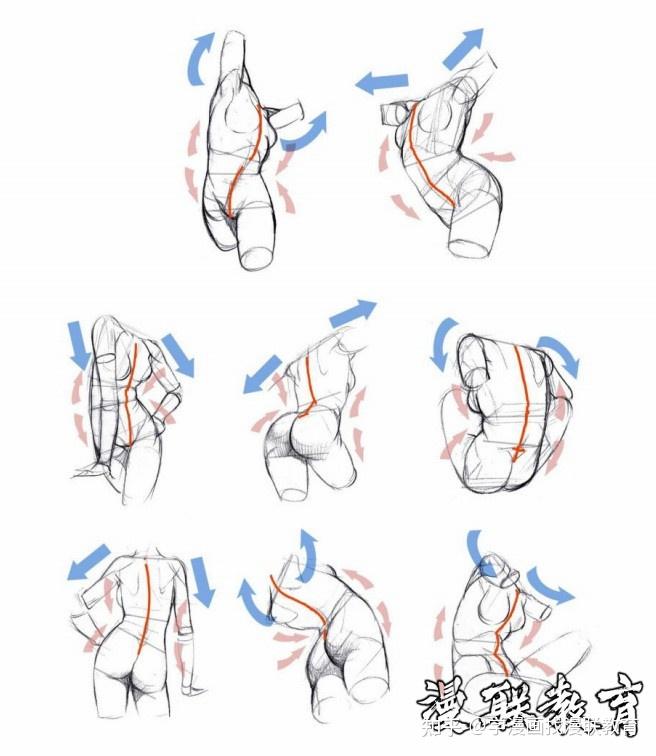 「教程」人体绘画基础 part 03 认识肌肉