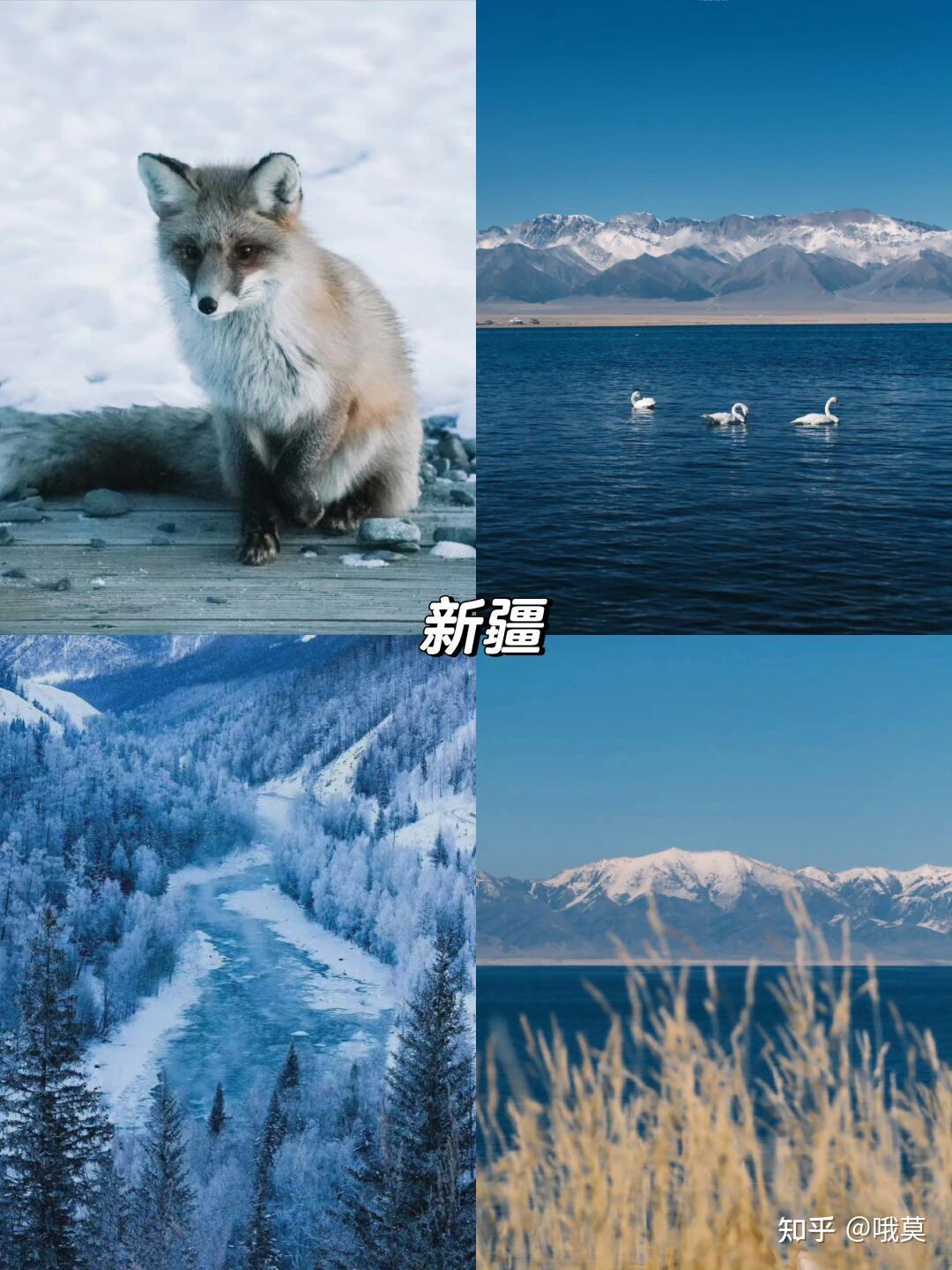 全国冬季避寒赏雪城市推荐🔥超全攻略 - 知乎