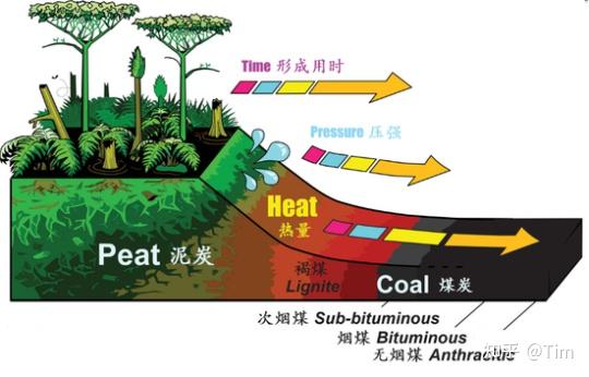 煤炭专业须要什么学历