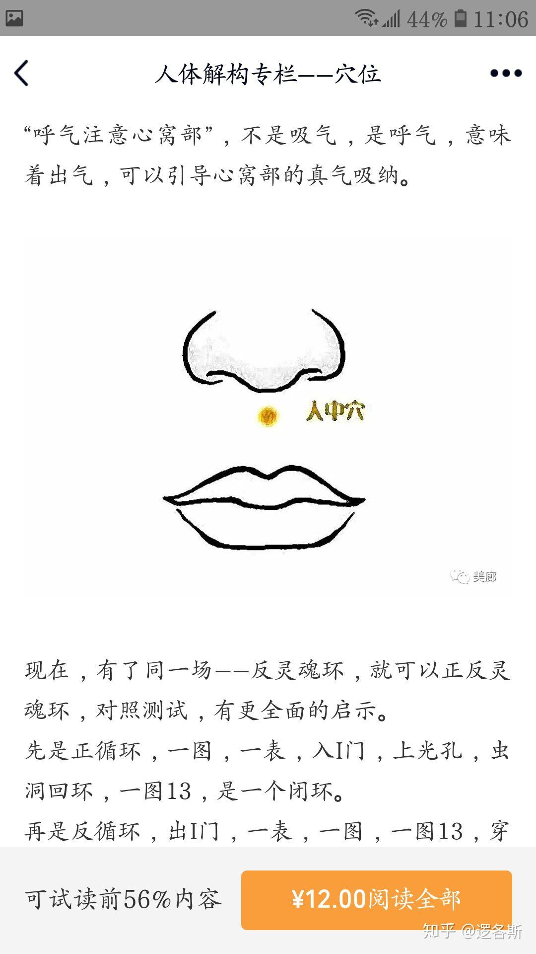 人体解构专栏——穴位