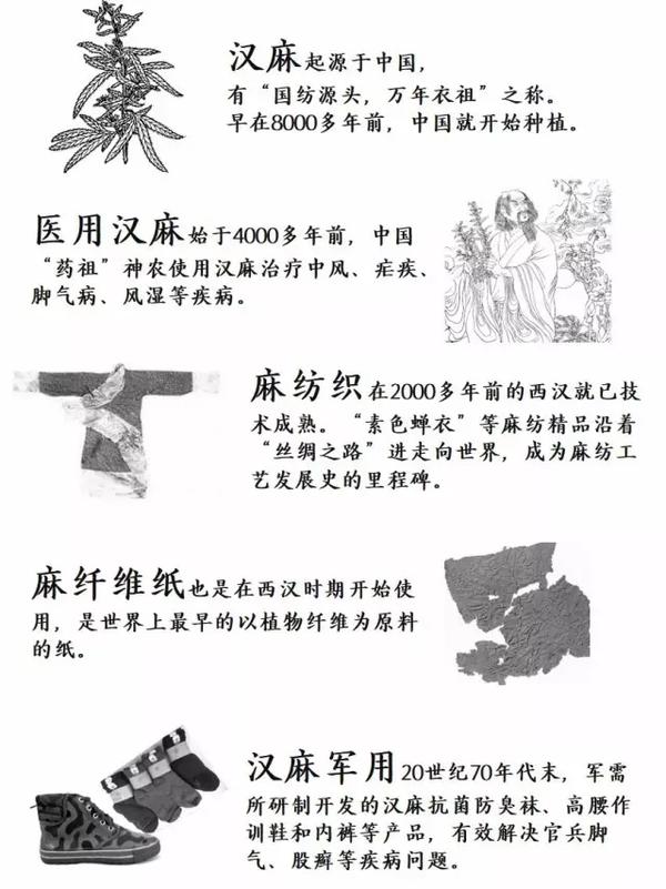 汉麻:在纤维的世界里创造无限的可能 - 知乎
