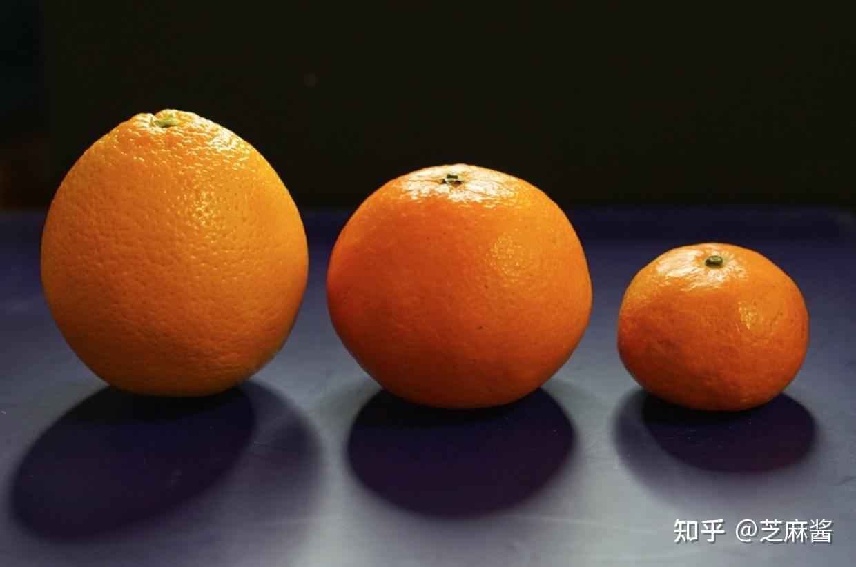 橘和柑有什么区别，吃了这么多年你不会不知道吧？ - 知乎