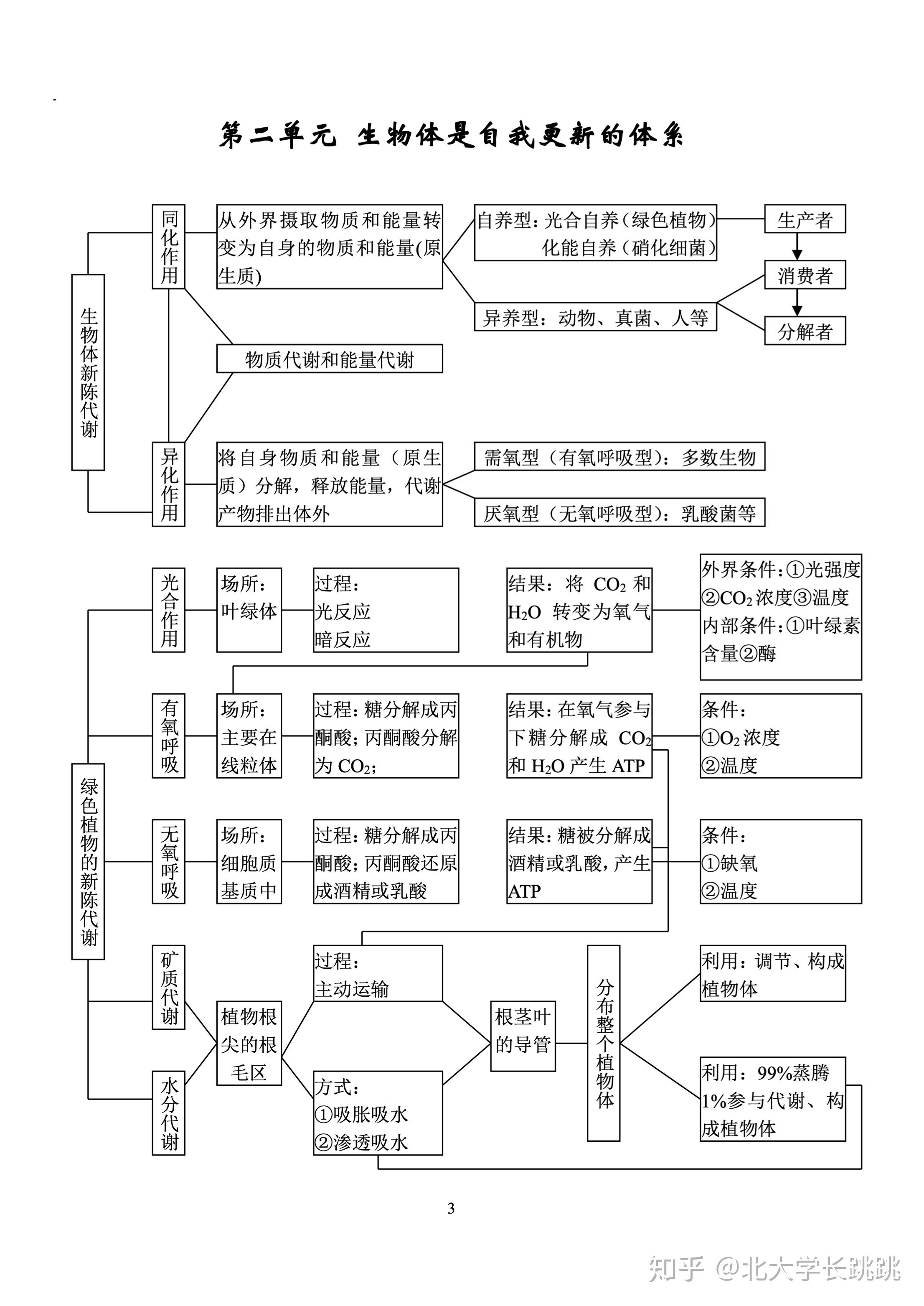 高中生物知识框图图片