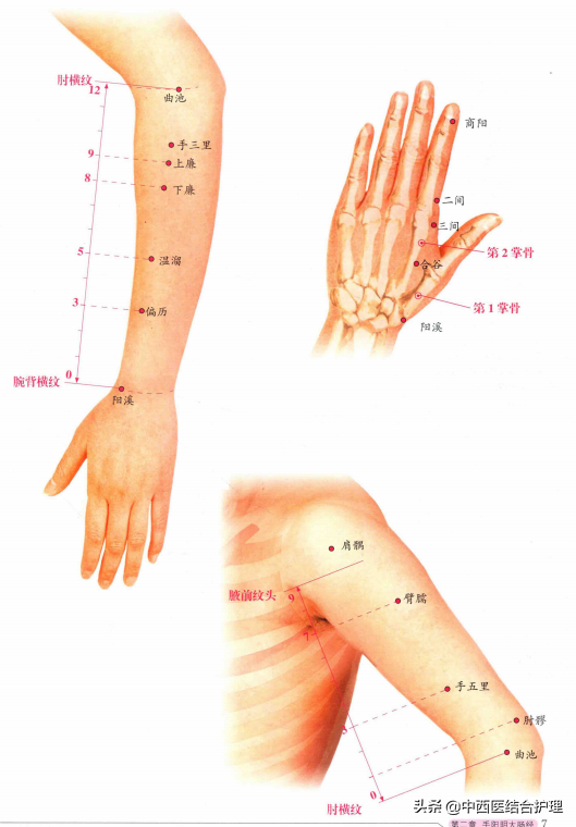 女性手臂经络图高清图片