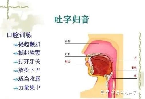播音配音学习干货口腔控制与练习