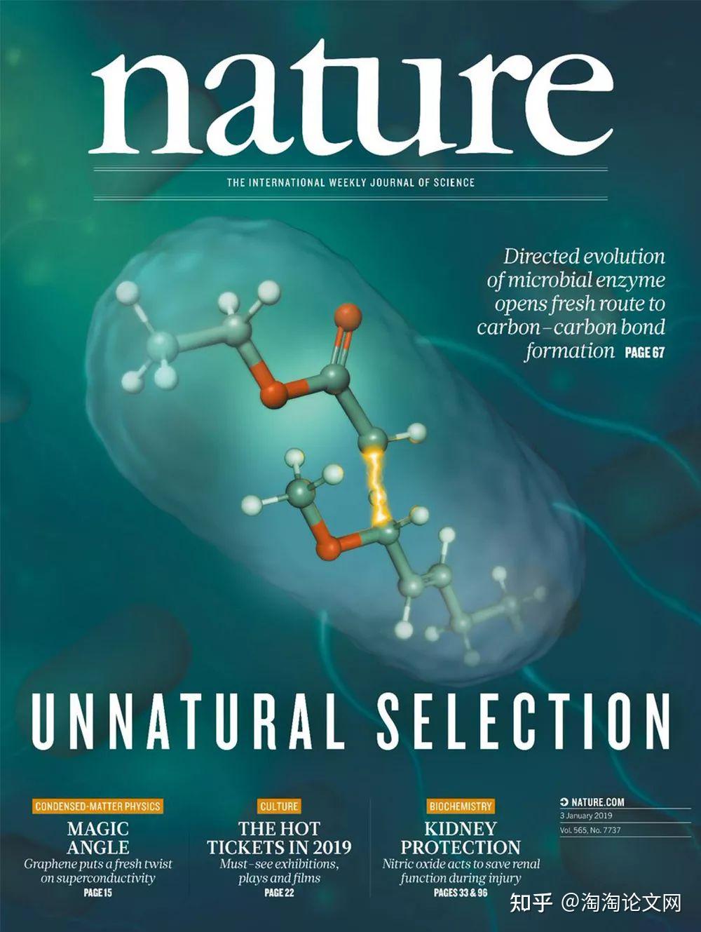 发表一篇sci论文大概多少钱?