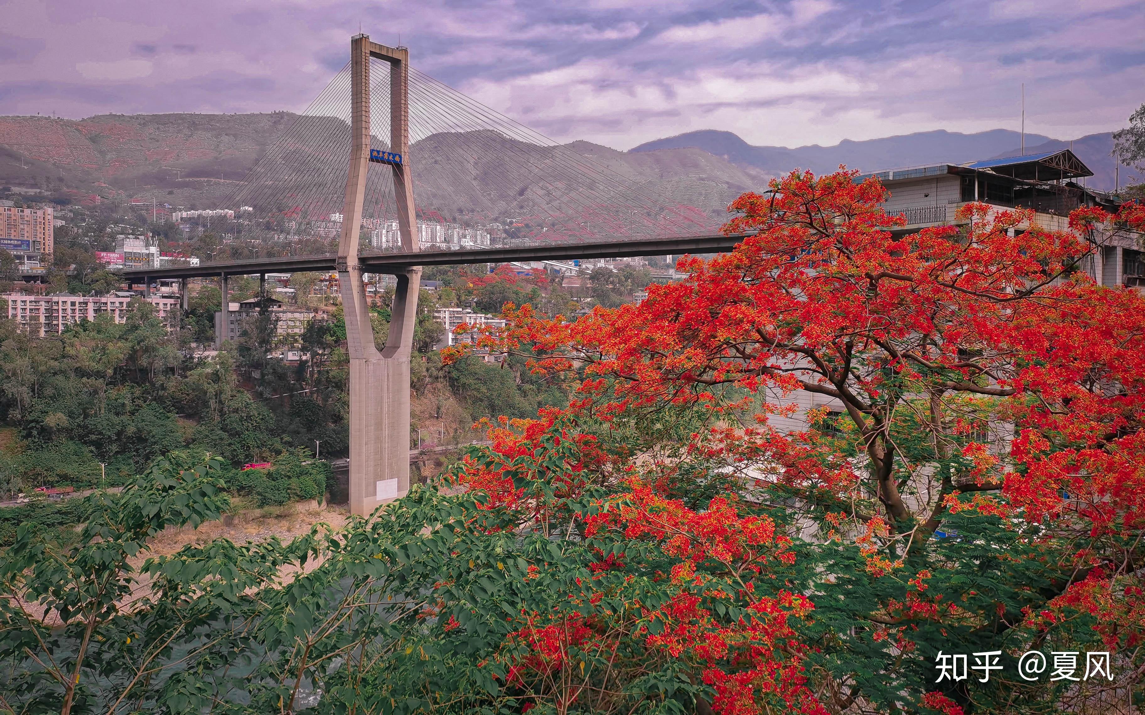 荣耀x10上手 - 知乎