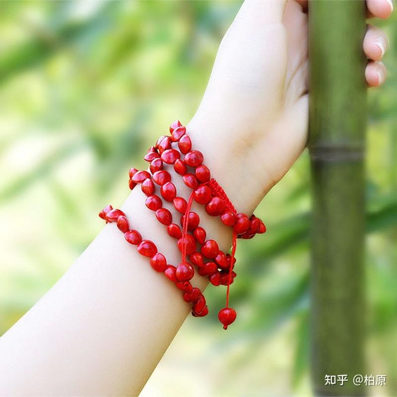 一叶菩提相思红豆节选第二