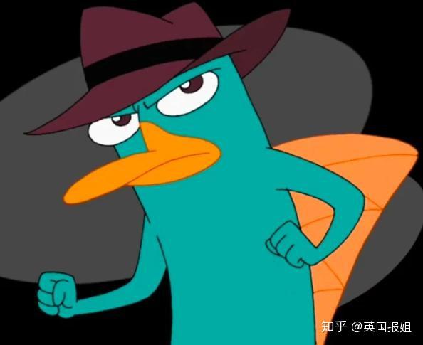 知乎