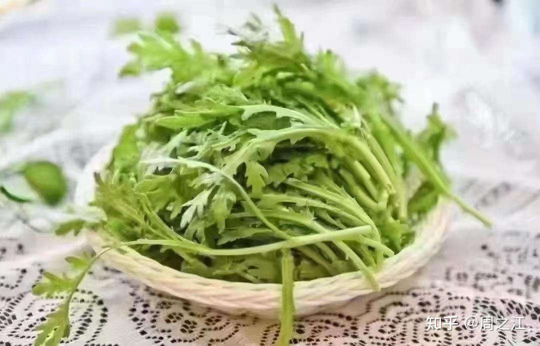 今天我们来说说地方志里记载的茼蒿和小茴香应季时鲜抓紧吃