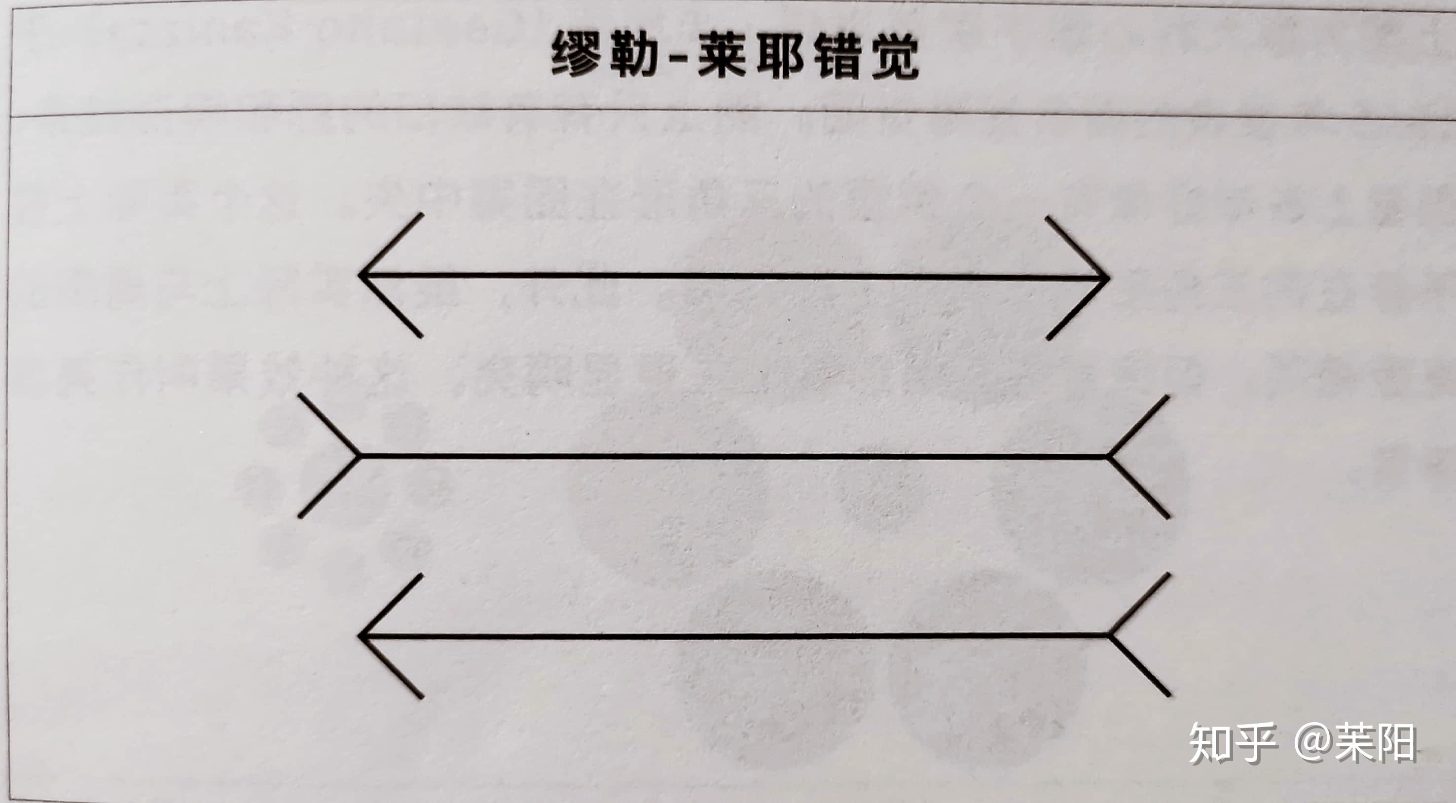01  错觉的产生"轻而易举"
