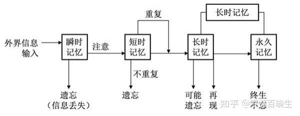 外界信息进入大脑形成瞬时记忆.