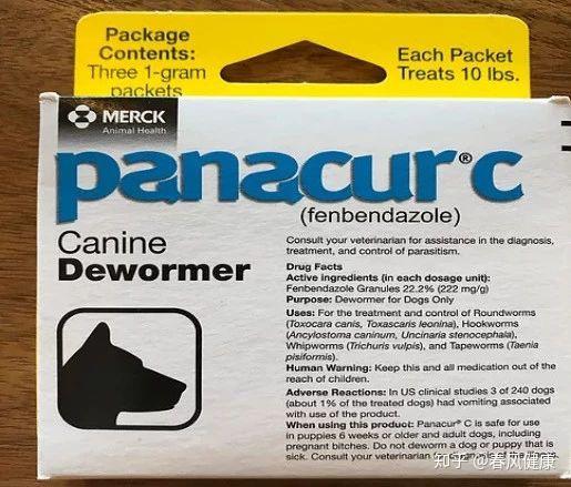 服用狗药能治愈癌症吗看完这些真相再做决定不迟