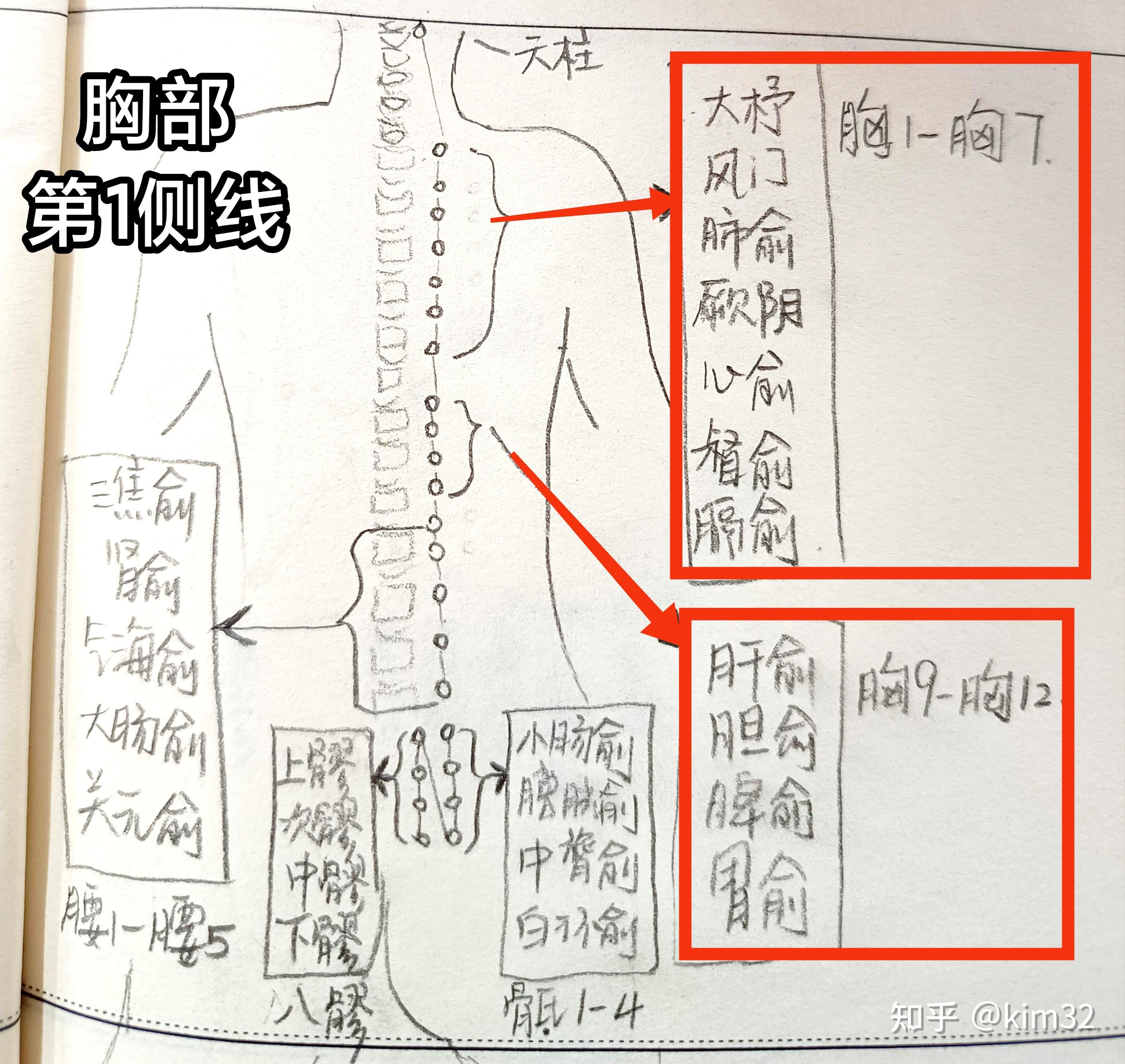 12背俞穴,12前募穴 - 知乎