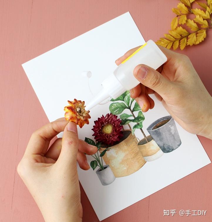 永生花DIY丨见识下魔法的力量吧 - 知乎