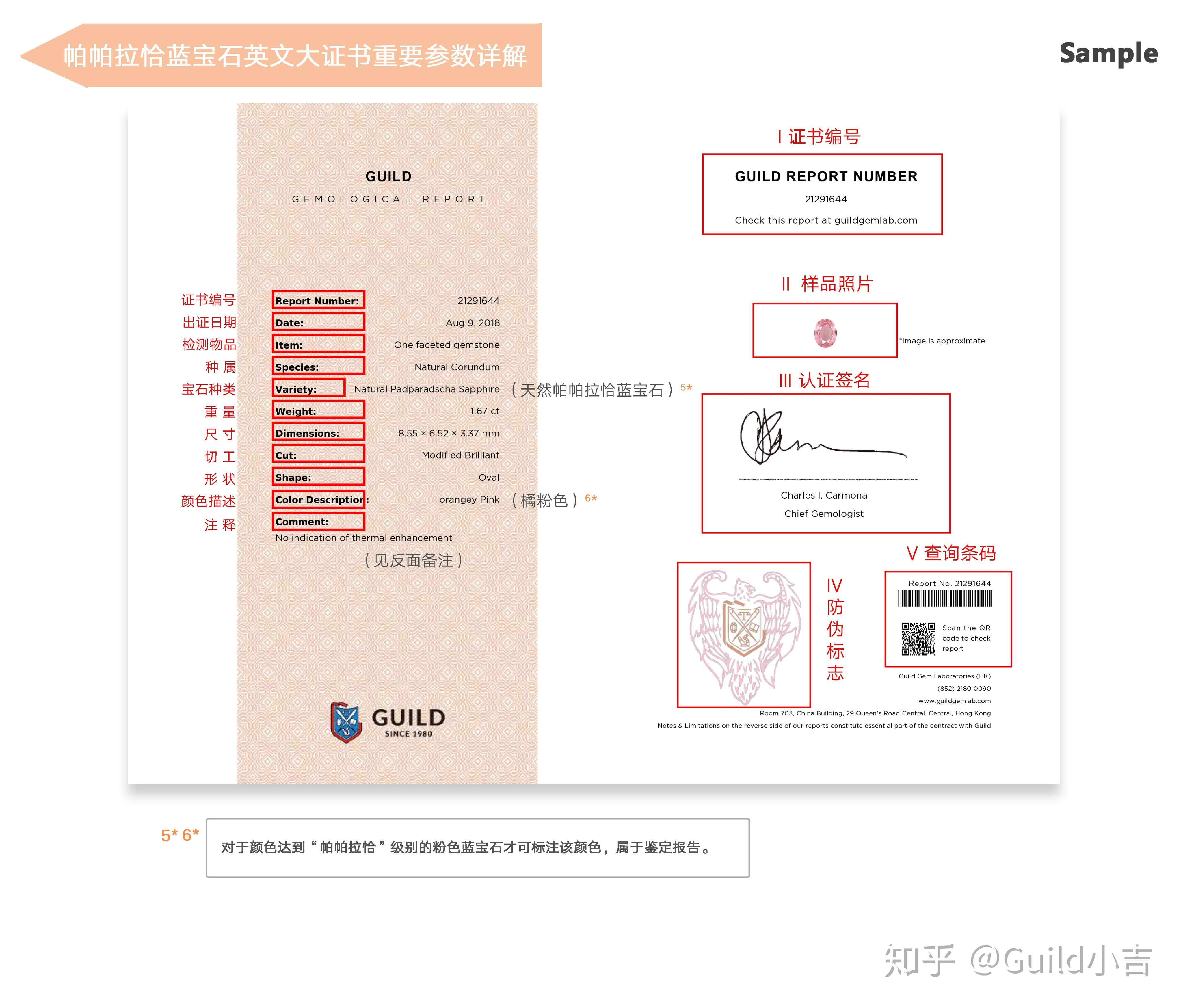 一分钟读懂guild证书