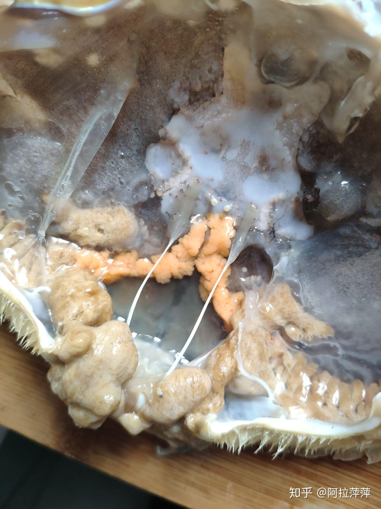 梭子蟹壳掰开有两种颜色的黄一种橘黄色一种土黄色哪个是蟹黄啊