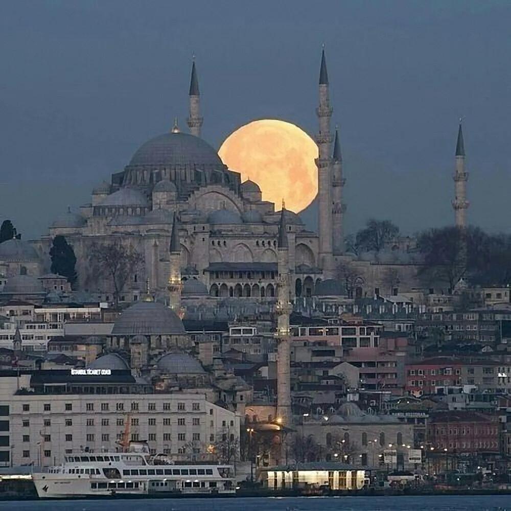 【100张】适合年轻人当头像的风景静物图片 - 知乎