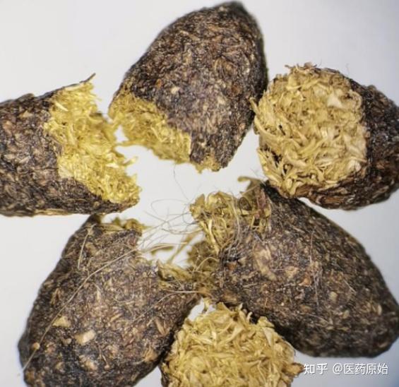 带你识别五灵脂