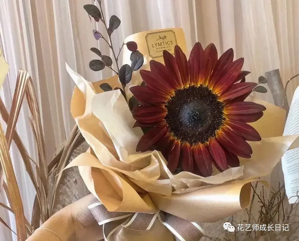 每日一花 | 甜甜味的巧克力向日葵