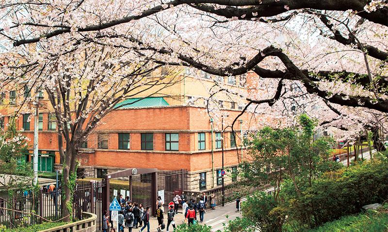 日本大学上智大学地球环境研究科全英文硕士预科项目