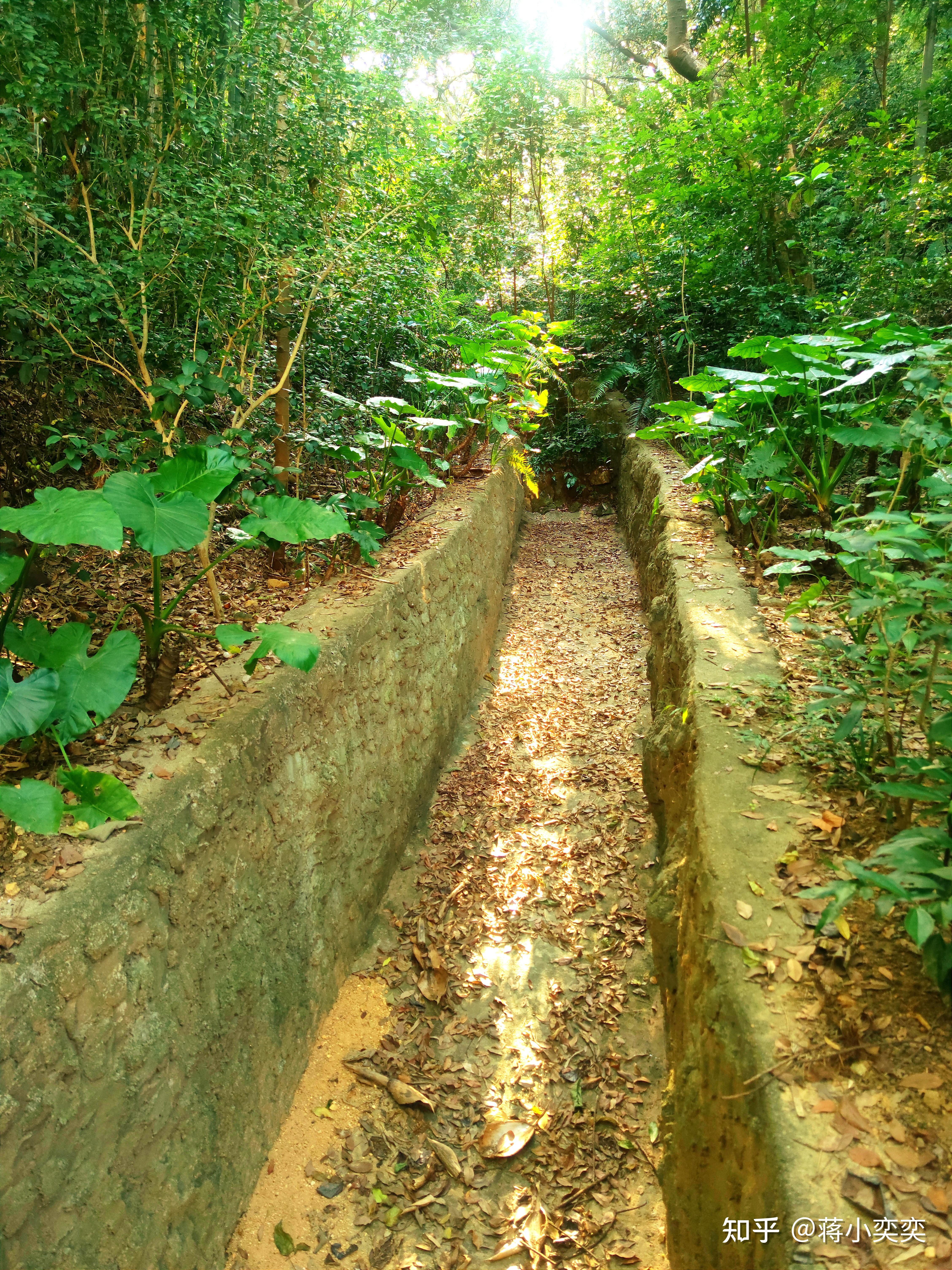 茅龍書院後院排水渠(下山口)附近交通:1,金蟾山公園位於江門市蓬江區