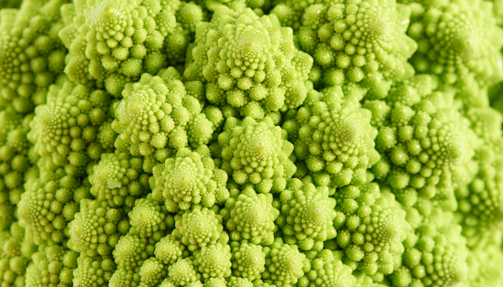 趣学妙用scratch编程40 进阶篇(十) 奇妙的分形