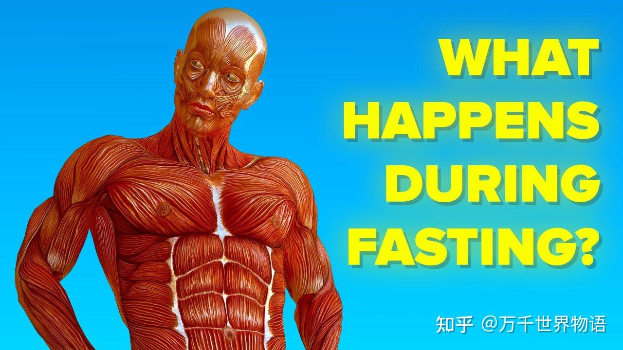 当你不吃东西(禁食)时你的身体会发生什么变化 - 知乎