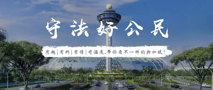 对不起你又犯法了在新加坡必须知道的7条法律