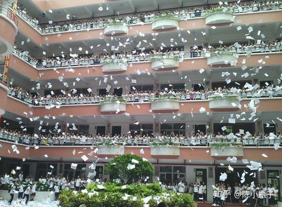 hitthebook摔书进行时