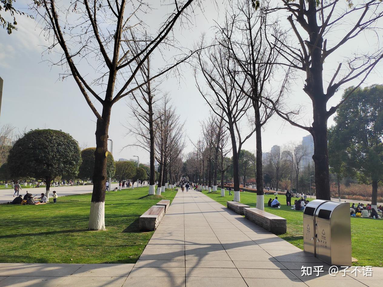 2023年,重庆中央公园全面升级改造 - 知乎