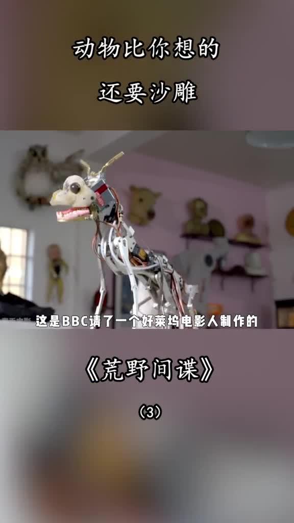 236_纪录片《素食者联盟》#宅家dou剧场