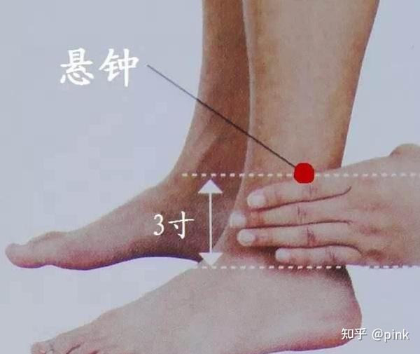 胆经：这3个地方最易堵，胆经一通，全身轻松！ - 知乎