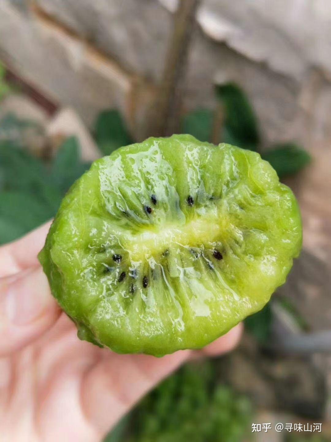 翠香来了请收下秋天的第一口甜蜜