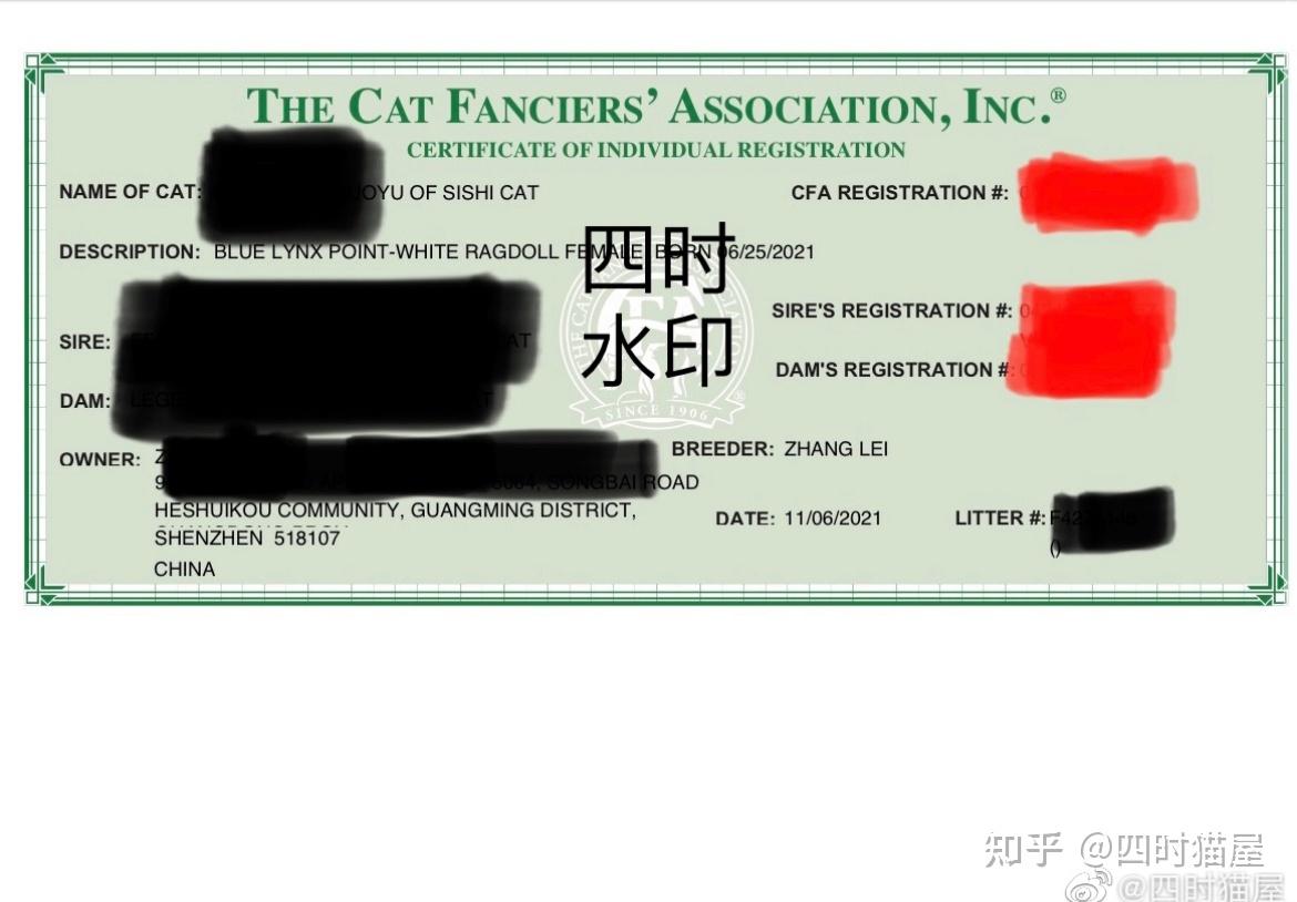 ACFA&CAA爱猫 网站首页