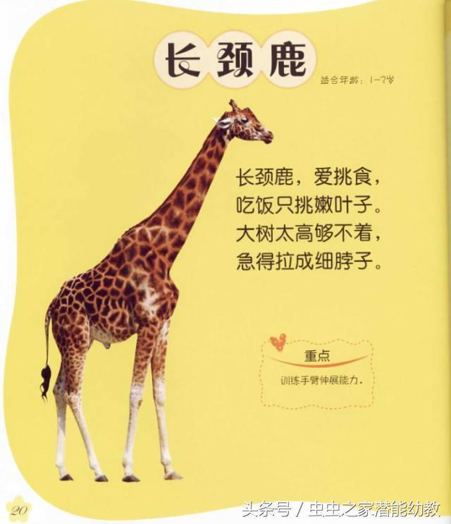 幼教专家精心编写的手指童谣资料开发宝宝大脑