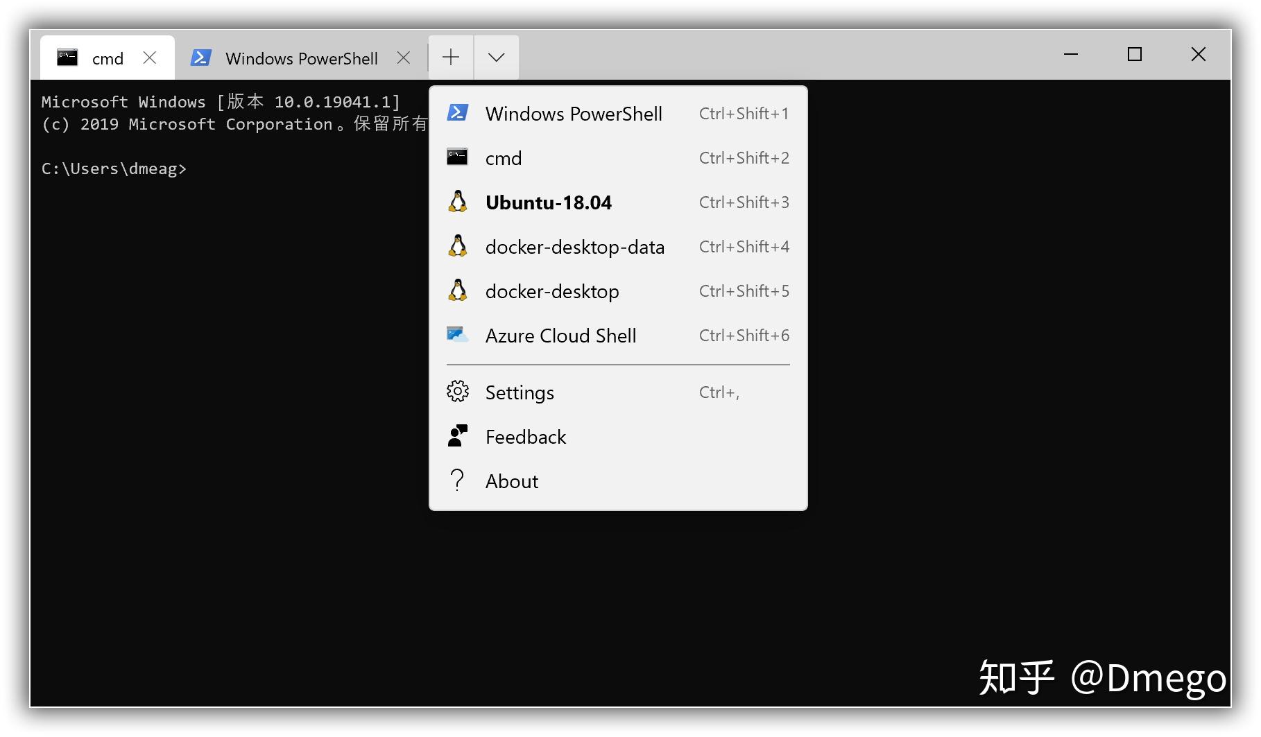 将WSL2作为生产力工具 将WSL2作为生产力工具