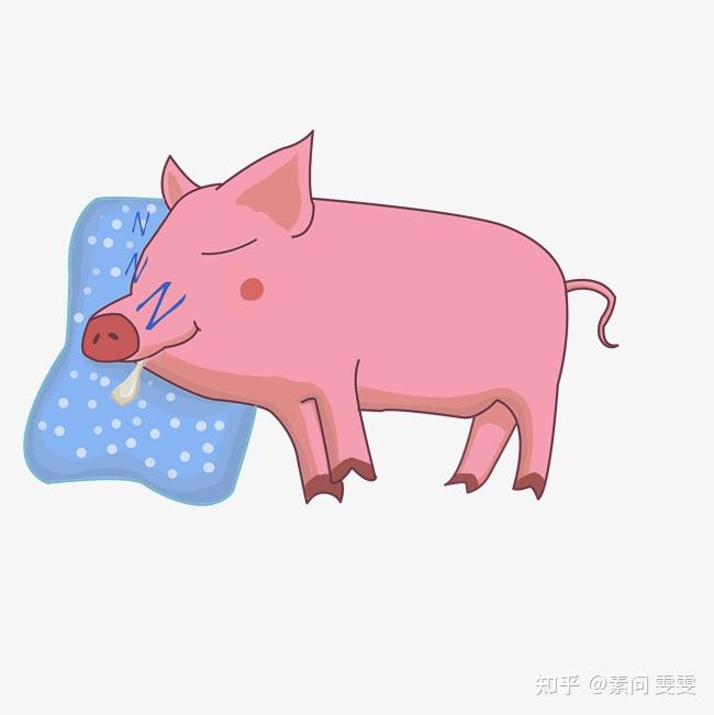 跟着子午流注养生太实用了24小时吃喝拉撒睡的健康安排妥妥的