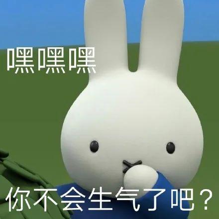 表情包米菲兔系列