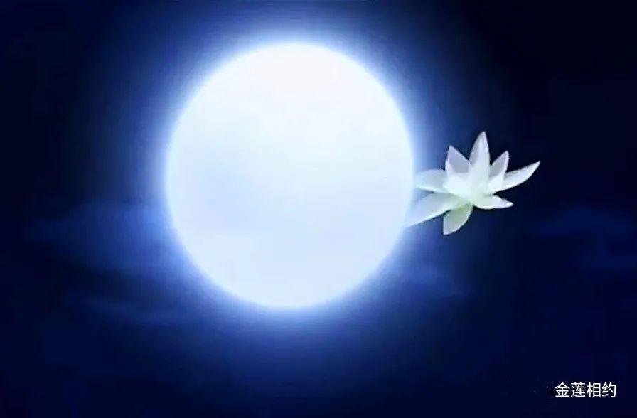请在花开时醒来 - 知乎