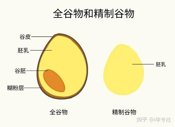 关于“鼎鼎大名”的全谷物，你需要了解这些！ - 知乎